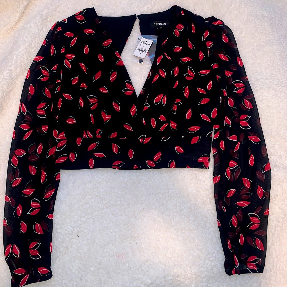 Long Sleeve Crop Top